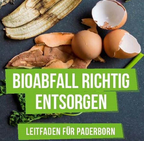 Eierschalen, Bananenschalen