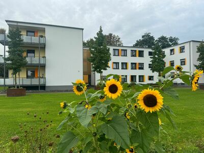 Sonnenblumen vor einem Wohngebäude