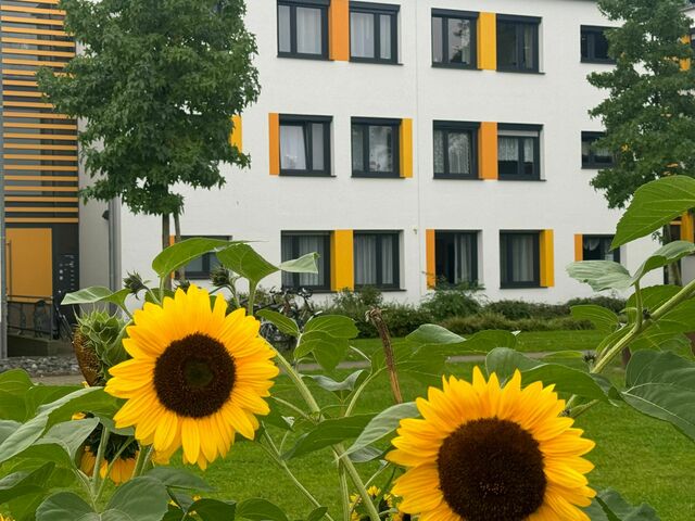 Sonnenblumen vor einem Wohngebäude
