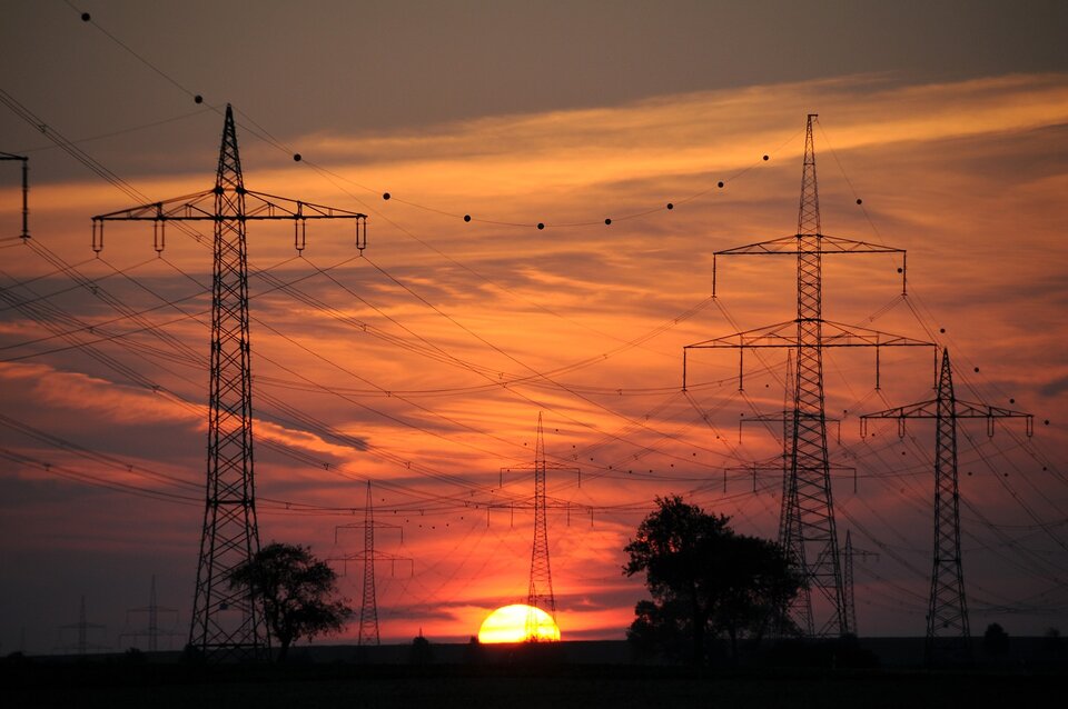 Sonnenuntergang vor drei Bäumen und großen Hochspannungsleitungen