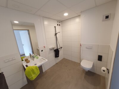 Badezimmer mit ebenerdiger Dusche, Handwaschbecken und Toilette