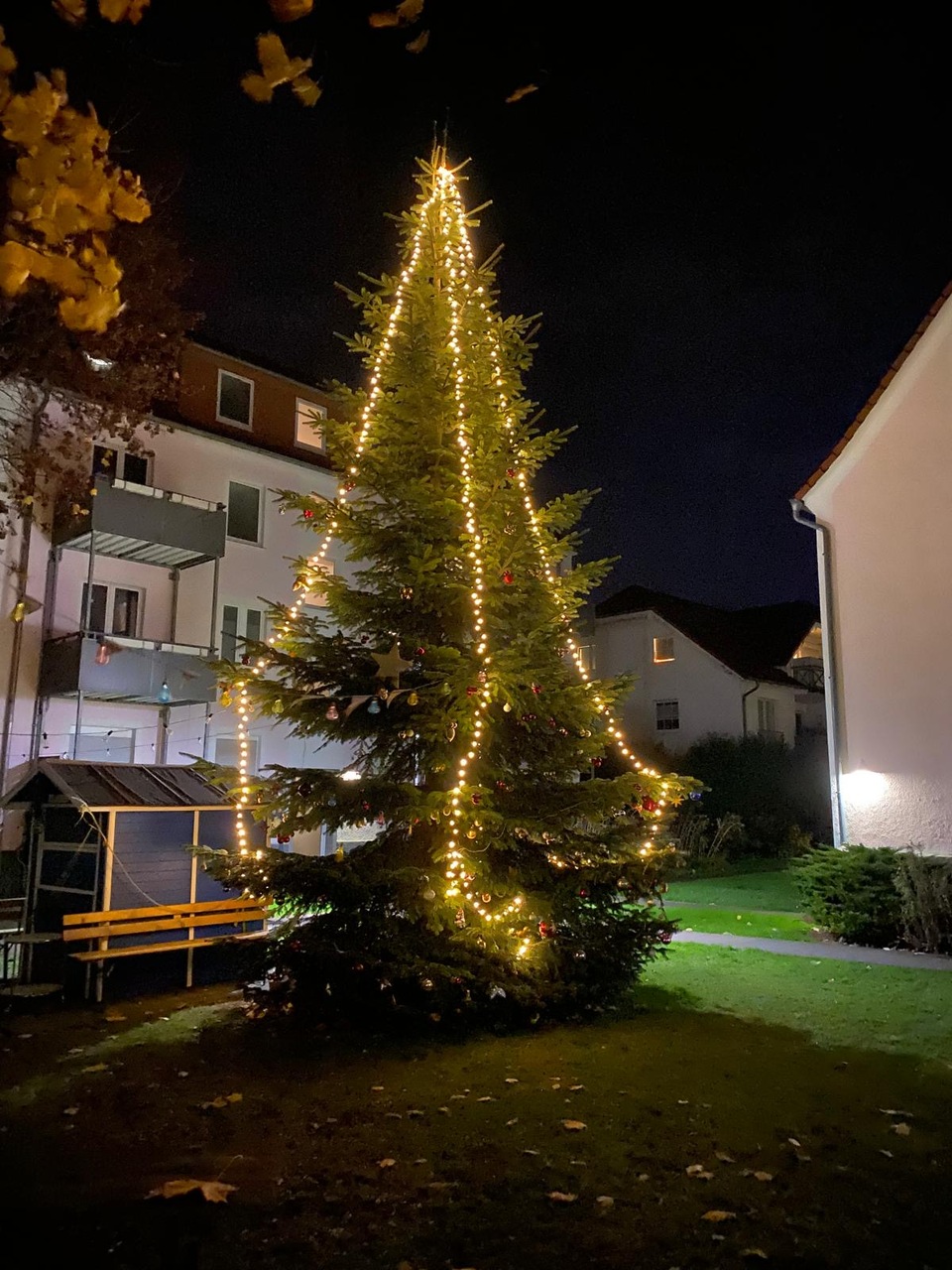 Beleuchteter Weihnachtsbaum